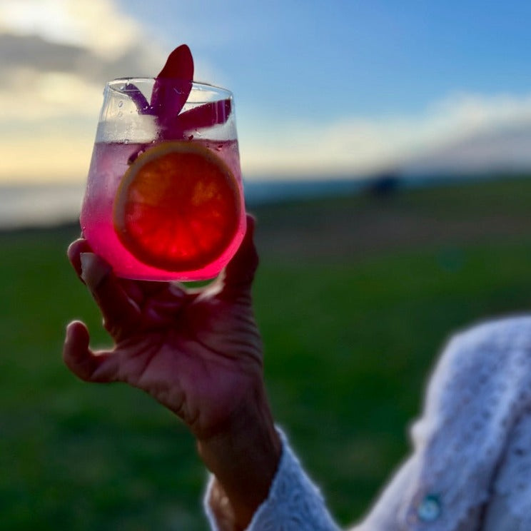DIY Craft Cocktail Infusion Package: Pa'ia Sangria