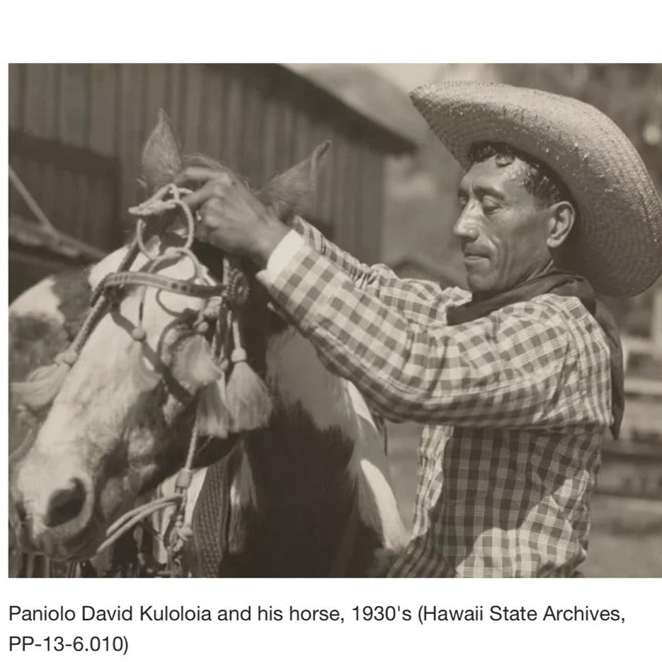 Black-and-white photograph of Hawaiian Paniolo David Kuloloia, wearing a wide-brimmed straw hat and a plaid shirt, adjusting the bridle on his spotted horse's head.